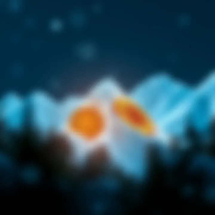 Visual representation of Avalanche ecosystem showcasing decentralized finance and enterprise applications
