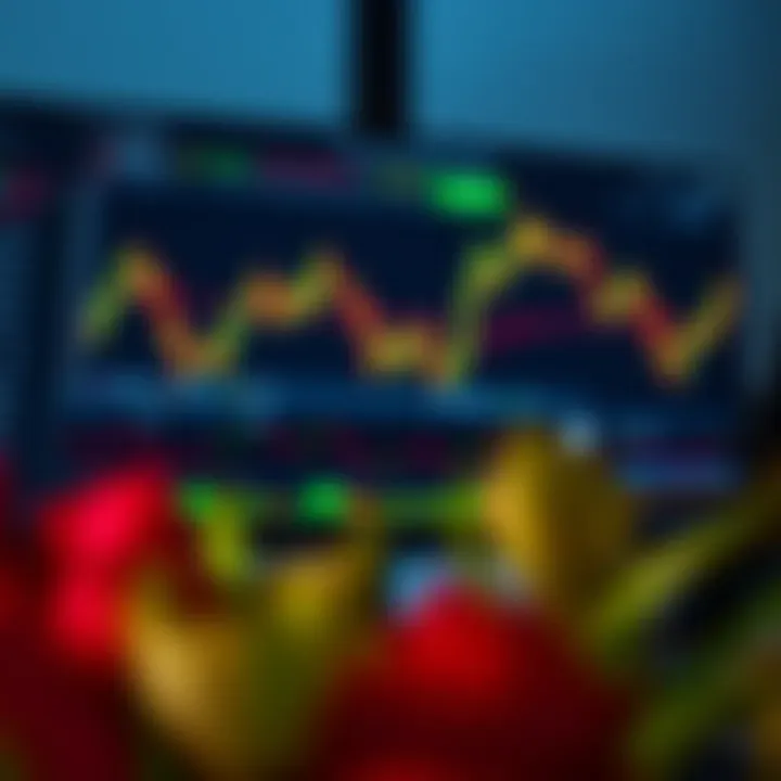 Understanding Forex Trading Demo Accounts